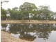 364 Condobolin Road, Parkes NSW 2870