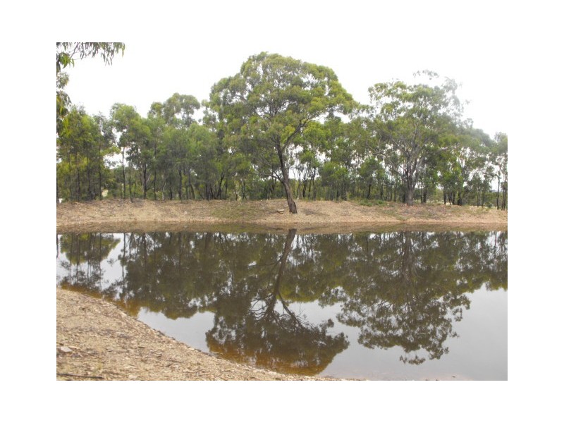 364 Condobolin Road, Parkes NSW 2870