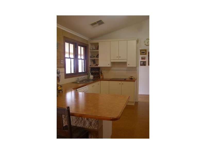 1135  Mackeys Creek Road, Eugowra NSW 2806