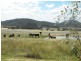 1135  Mackeys Creek Road, Eugowra NSW 2806