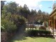 1135  Mackeys Creek Road, Eugowra NSW 2806