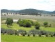 1135  Mackeys Creek Road, Eugowra NSW 2806