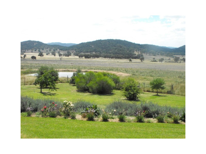 1135  Mackeys Creek Road, Eugowra NSW 2806