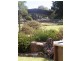1135  Mackeys Creek Road, Eugowra NSW 2806