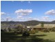 1135  Mackeys Creek Road, Eugowra NSW 2806