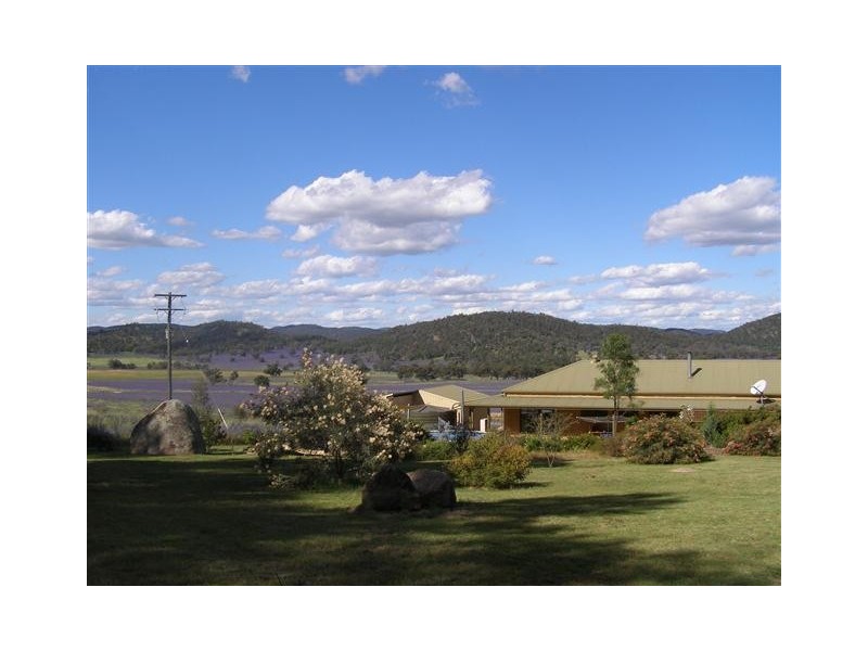 1135  Mackeys Creek Road, Eugowra NSW 2806