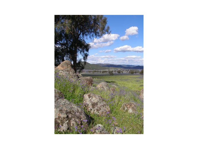 1135  Mackeys Creek Road, Eugowra NSW 2806