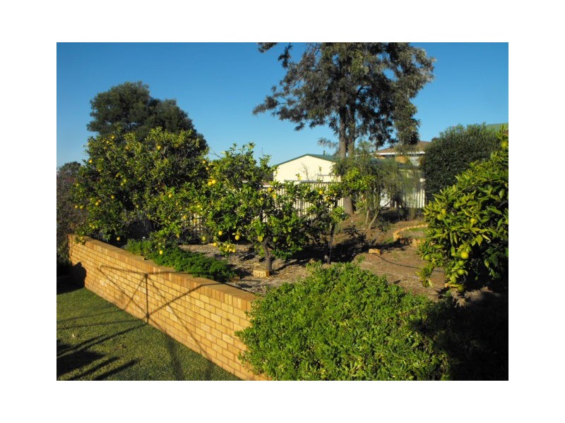 4 Albert Street, Parkes NSW 2870