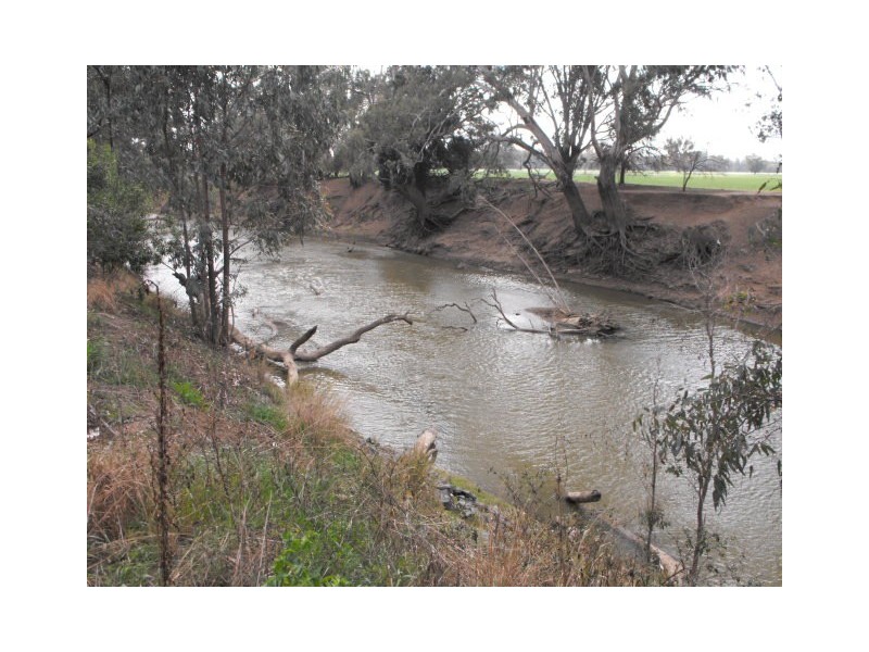 2006 Lachlan Valley Way, Forbes NSW 2871