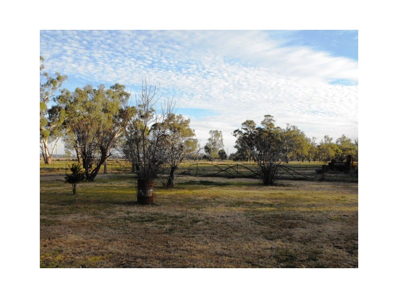 2006 Lachlan Valley Way, Forbes NSW 2871
