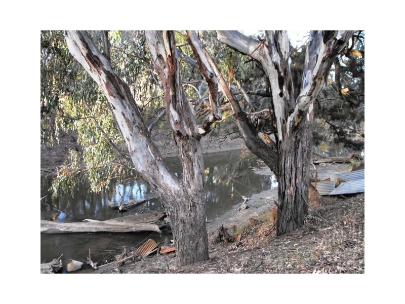 2006 Lachlan Valley Way, Forbes NSW 2871