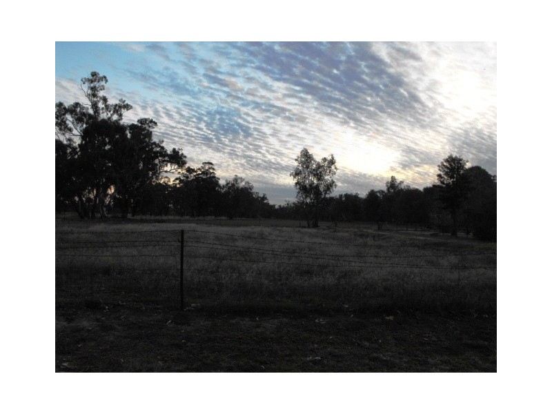 2006 Lachlan Valley Way, Forbes NSW 2871