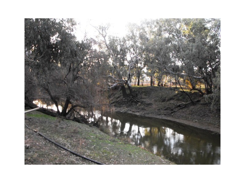 2006 Lachlan Valley Way, Forbes NSW 2871