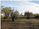 2006 Lachlan Valley Way, Forbes NSW 2871