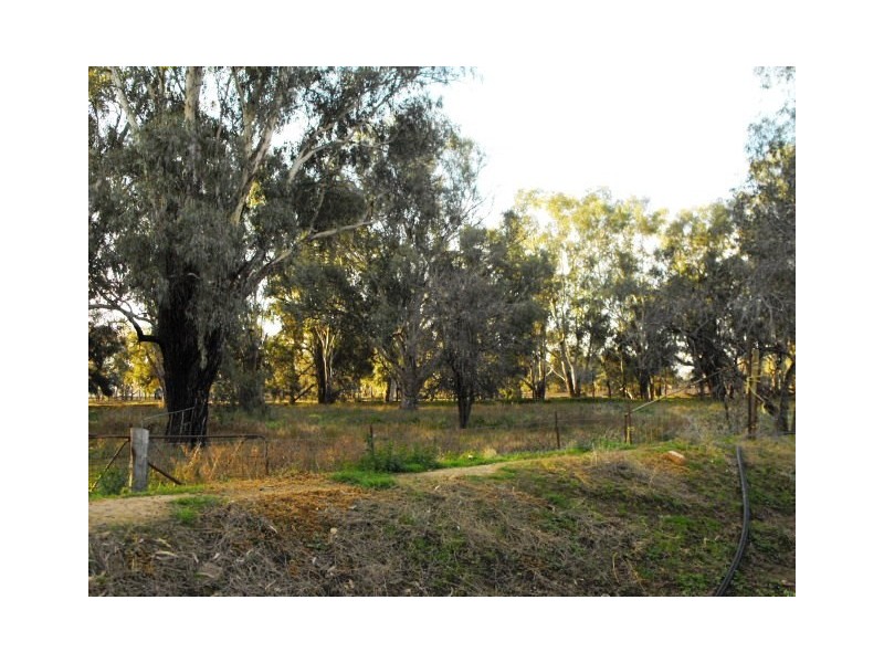 2006 Lachlan Valley Way, Forbes NSW 2871