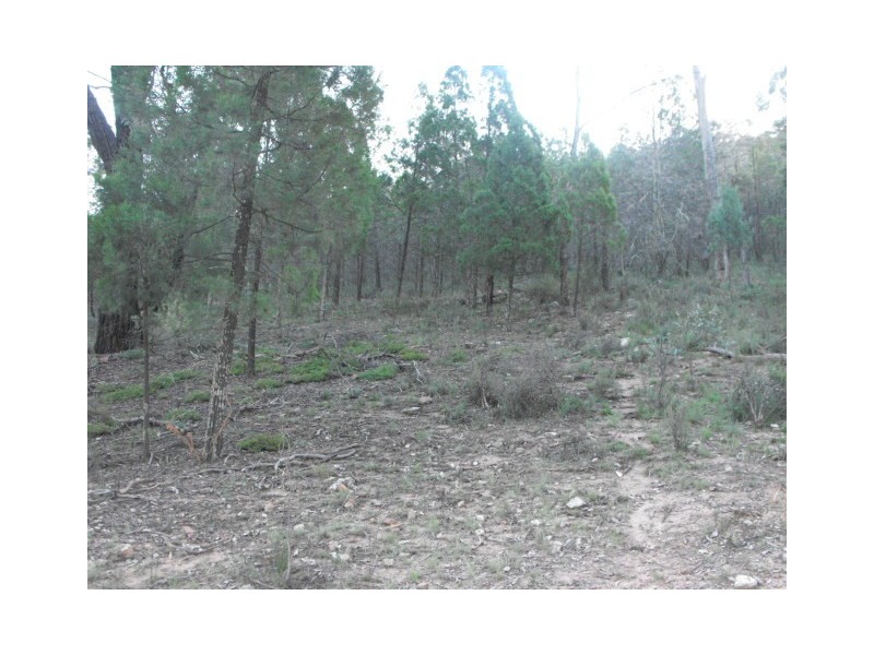 0 Rockyview, Cookamidgera NSW 2870