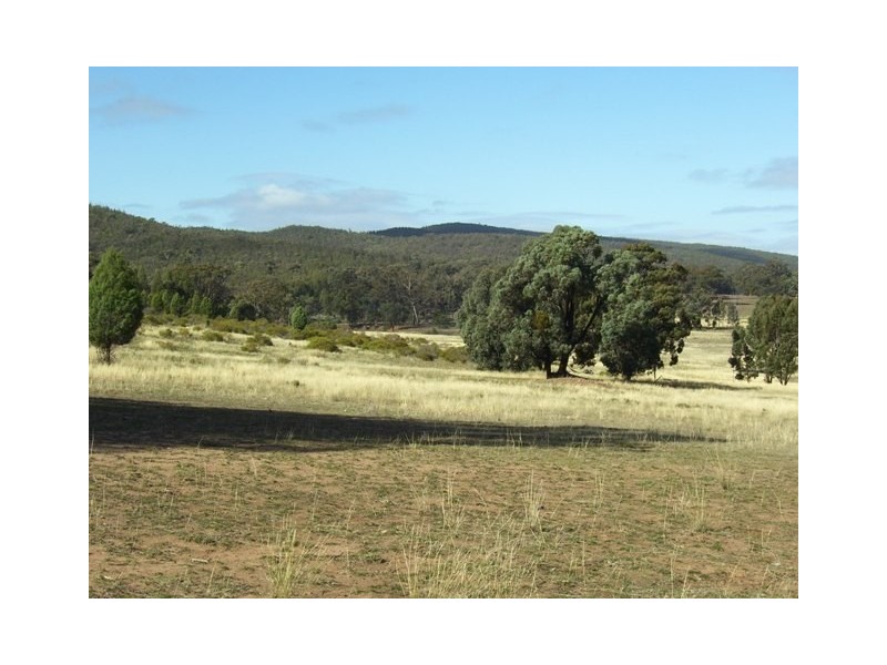 242 Cooka Hills Road, Cookamidgera NSW 2870