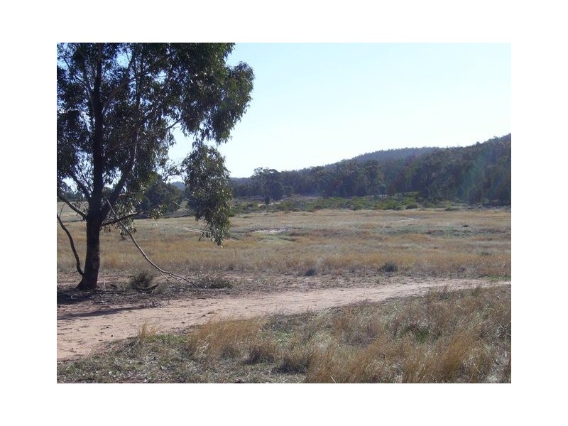 242 Cooka Hills Road, Cookamidgera NSW 2870