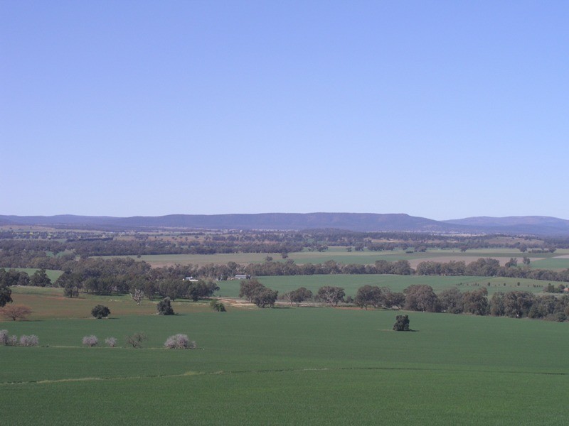 0  Golden Bar Drive, Parkes NSW 2870