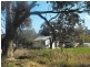 664 Mandagery Road, Mandagery NSW 2870