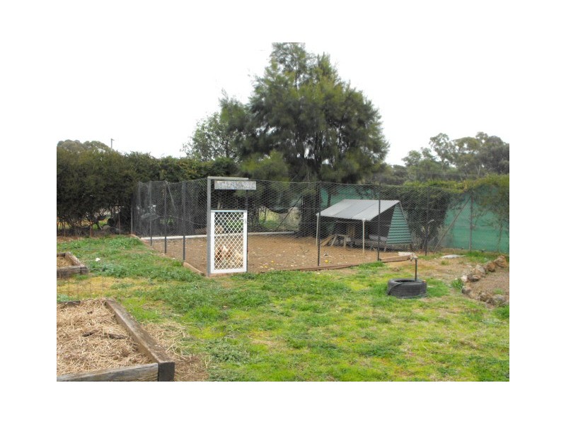 5  Goobang Street, Alectown NSW 2870