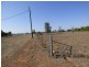 Lot 4 Calarie Rd, Forbes NSW 2871