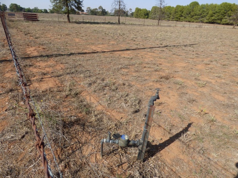 Lot 4 Calarie Rd, Forbes NSW 2871