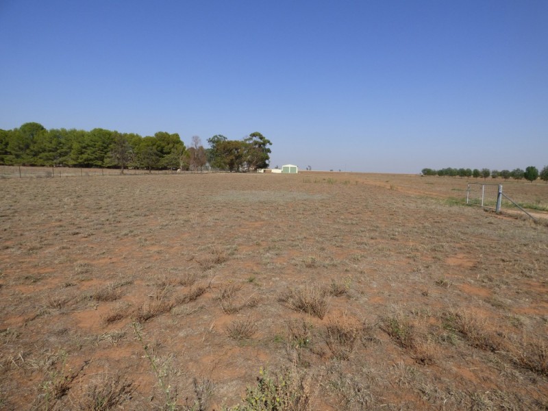 Lot 4 Calarie Rd, Forbes NSW 2871