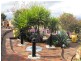 23 Fisher Street, Parkes NSW 2870