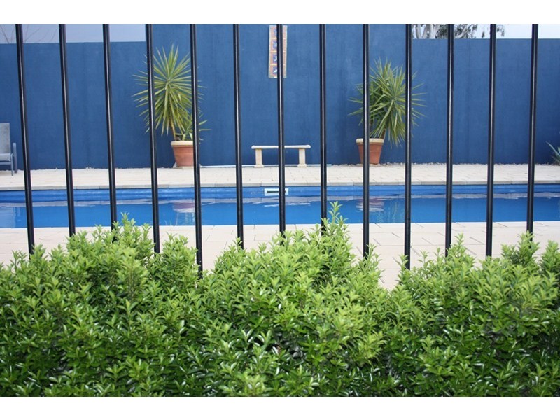 41-61 Quarry Rd, Forbes NSW 2871