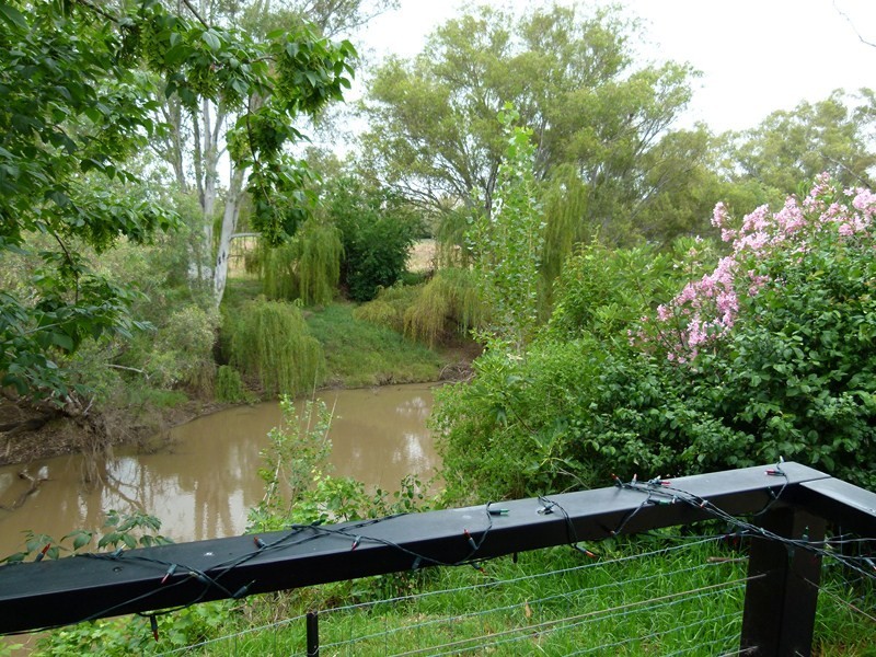 113 Bathurst Street, Forbes NSW 2871