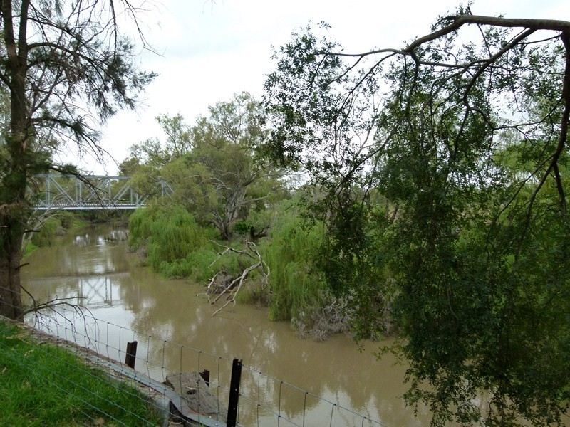 113 Bathurst Street, Forbes NSW 2871