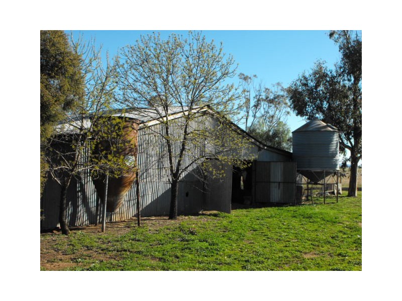 305 Belah Road ‘Garrawilla’, Forbes NSW 2871