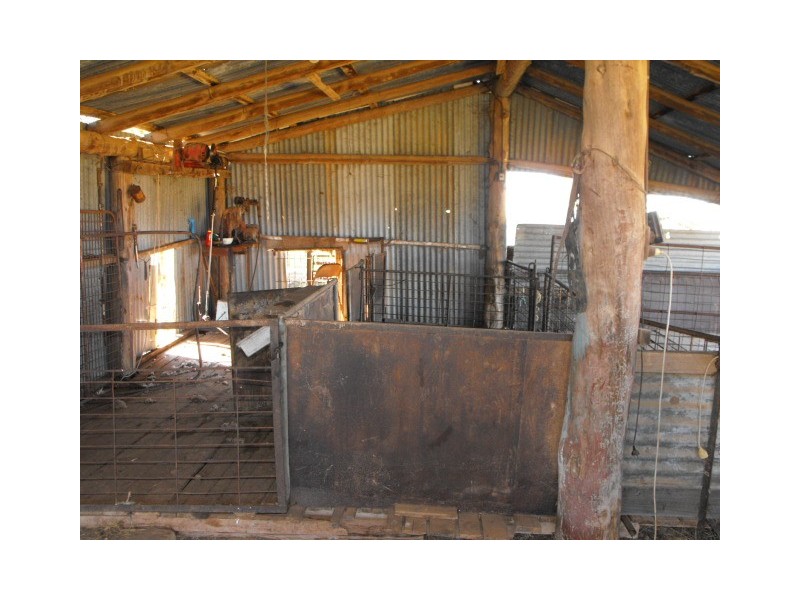 305 Belah Road ‘Garrawilla’, Forbes NSW 2871