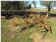 305 Belah Road ‘Garrawilla’, Forbes NSW 2871