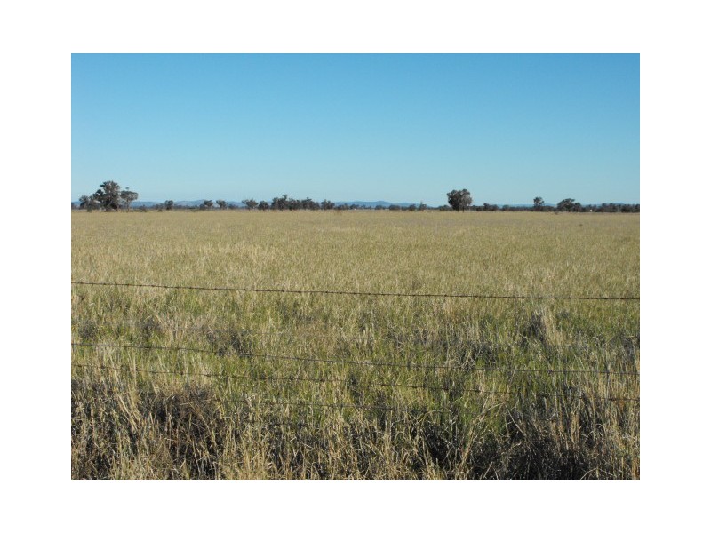 305 Belah Road ‘Garrawilla’, Forbes NSW 2871
