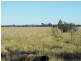 305 Belah Road ‘Garrawilla’, Forbes NSW 2871
