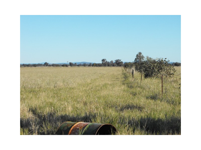 305 Belah Road ‘Garrawilla’, Forbes NSW 2871