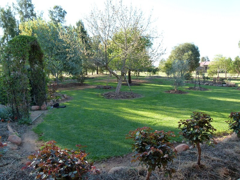 245 Farnell Street, Forbes NSW 2871