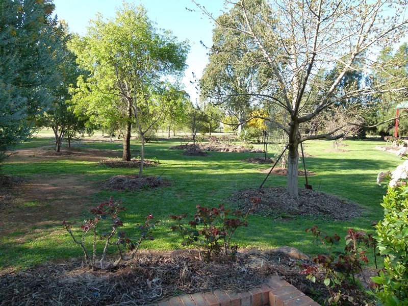 245 Farnell Street, Forbes NSW 2871