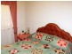 128  Euchie Street, Peak Hill NSW 2869