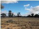 Lot 6 Kiacatoo Road, Condobolin NSW 2877