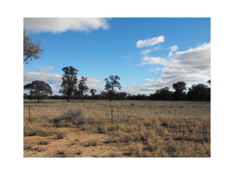 Lot 6 Kiacatoo Road, Condobolin NSW 2877