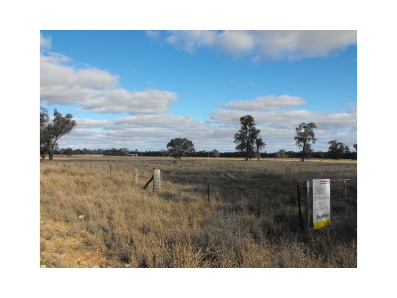 Lot 6 Kiacatoo Road, Condobolin NSW 2877