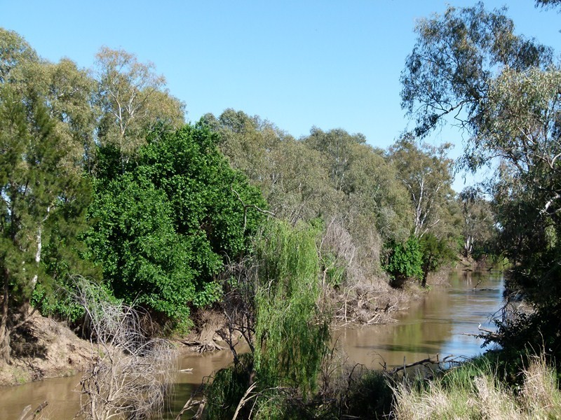 Part Lot 32 River Rd, Forbes NSW 2871