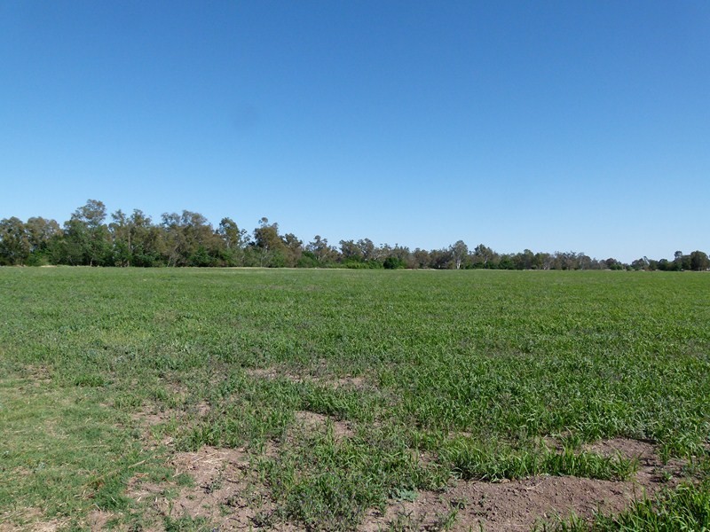 Part Lot 32 River Rd, Forbes NSW 2871