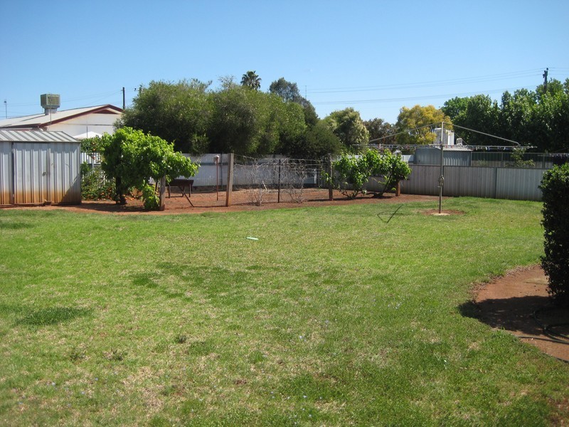 36 Goodwill Street, Condobolin NSW 2877