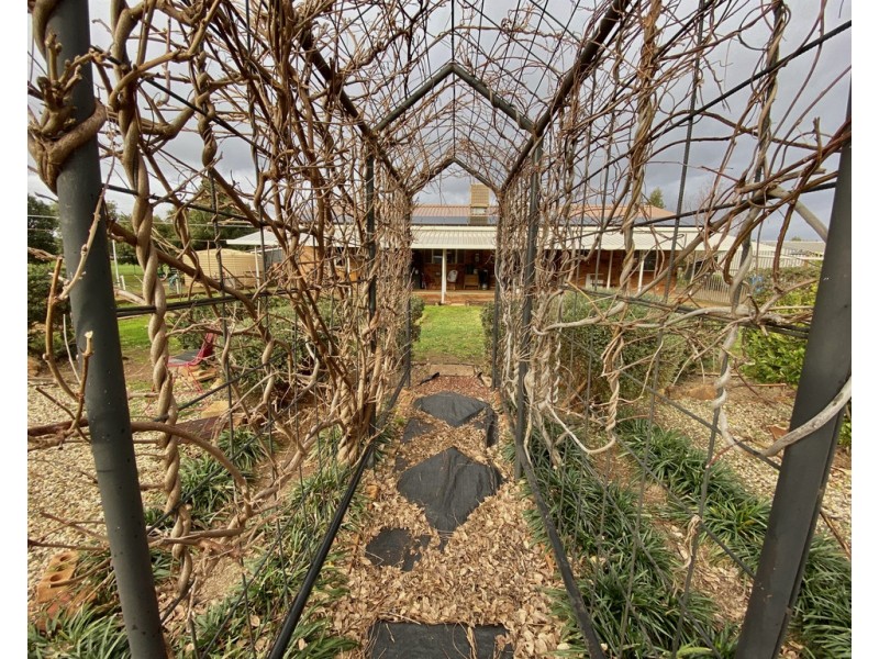 5093 Newell Highway, Peak Hill NSW 2869