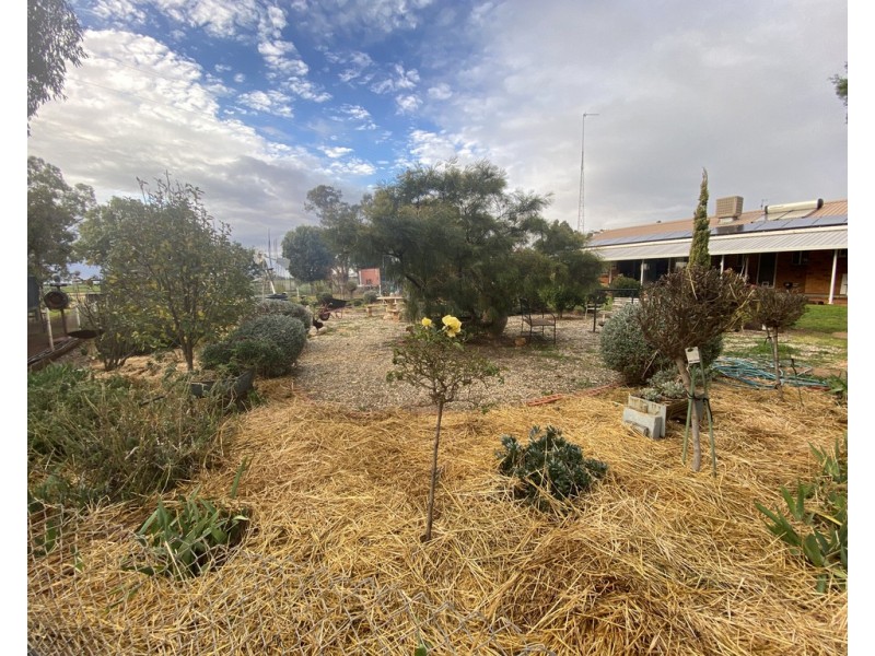 5093 Newell Highway, Peak Hill NSW 2869