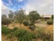 5093 Newell Highway, Peak Hill NSW 2869